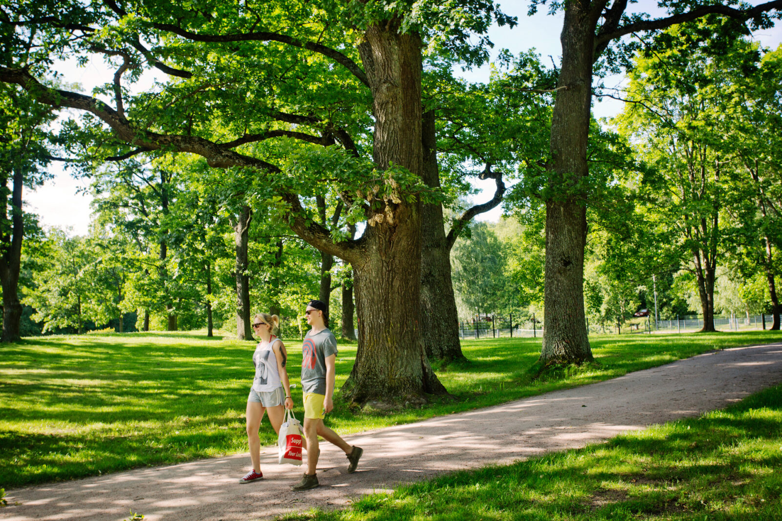 Kaksi kävelijää Mukkulan vanhojen tammien alla kauniina kesäpäivänä