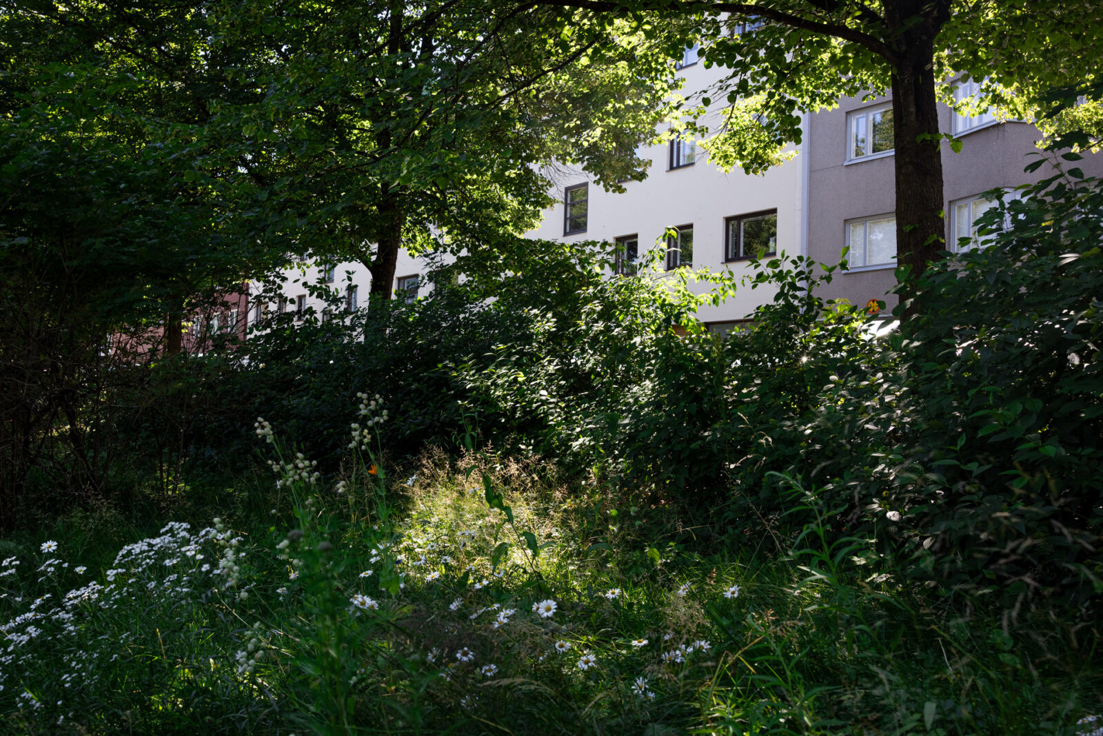 Kerrostalo pilkottaa vihreän lehvistön välistä