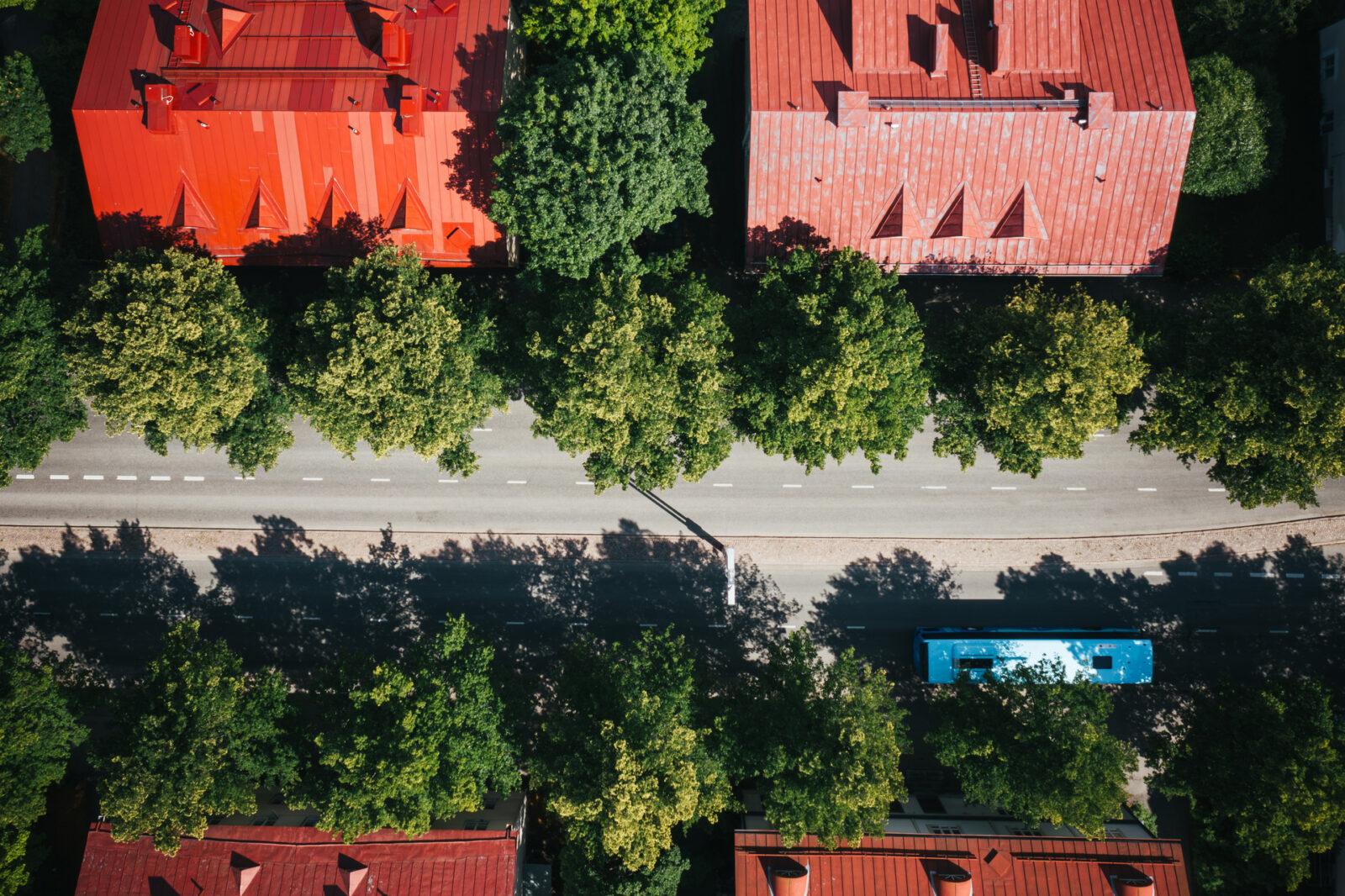 Ilmakuva vehreästä kadusta, jonka varrella pienehköjä kerrostaloja. Kadulla kulkee linja-auto.